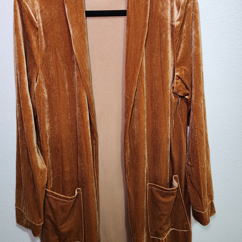 Vintage Brown Velvet Long Cardigan - Picture 3 of 5